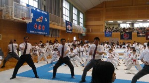 DSC_0053 (NXPowerLite)