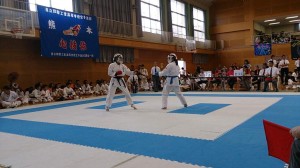 DSC_0065 (NXPowerLite)