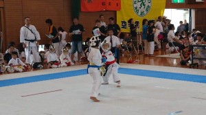 DSC_0984 (NXPowerLite)