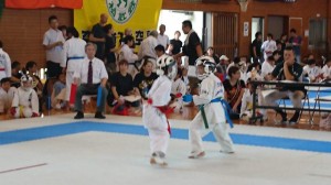DSC_0991 (NXPowerLite)