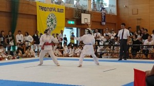 DSC_1011 (NXPowerLite)
