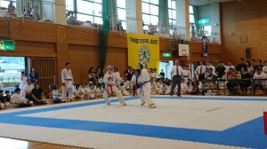 DSC_1017 (NXPowerLite)